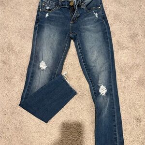 Articles of Society Jeans